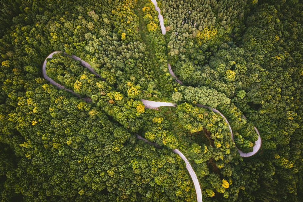 Solent Film, preview of Country Roads in Bulgaria (1)